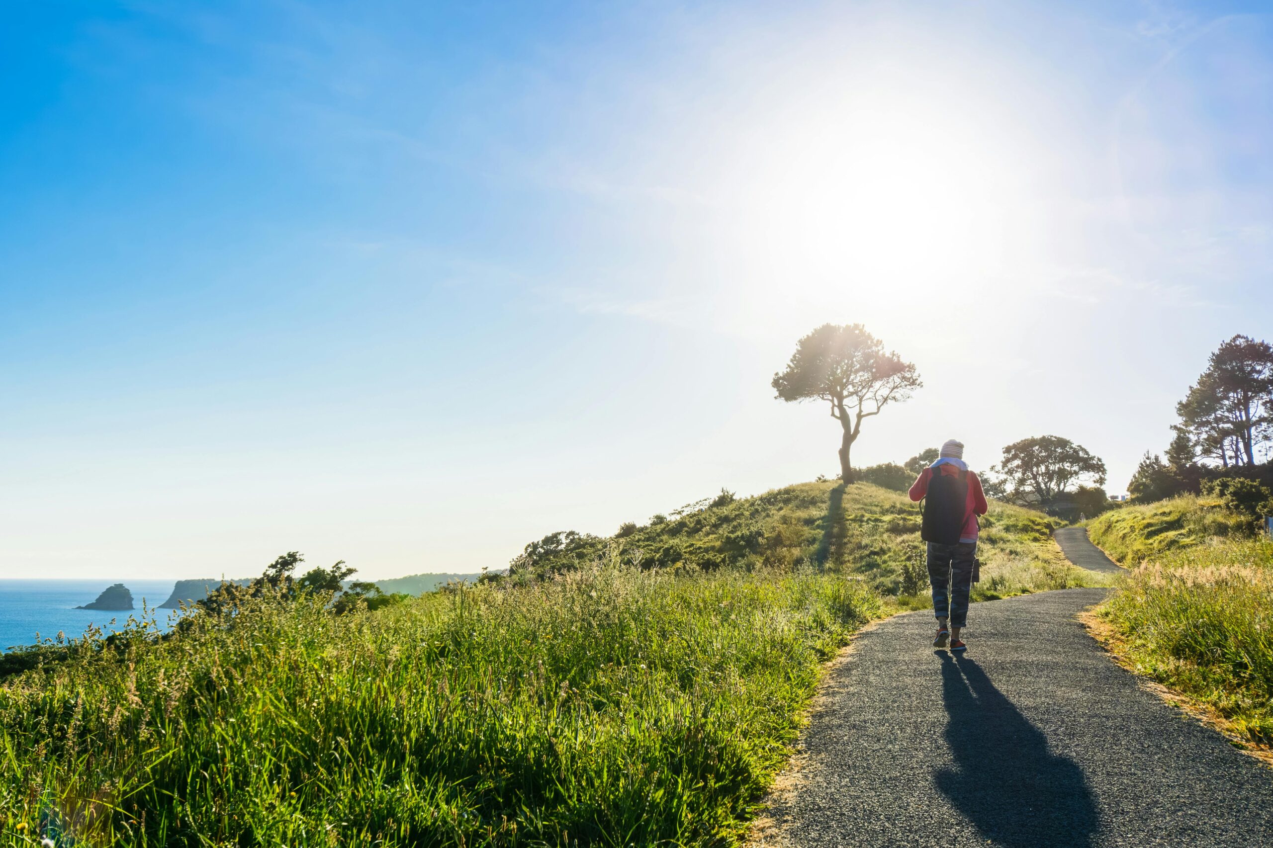 Aktiv återhämtning